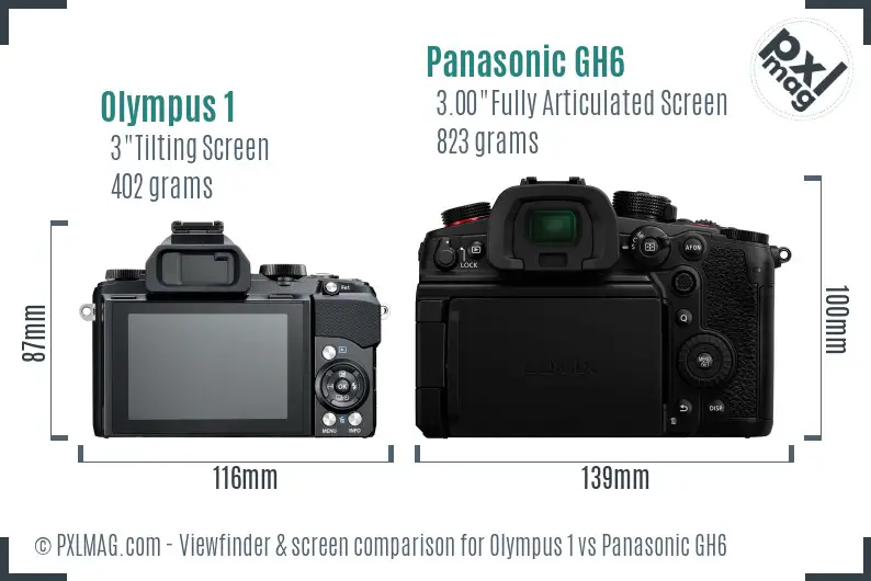 Olympus 1 vs Panasonic GH6 Screen and Viewfinder comparison