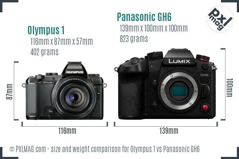 Olympus 1 vs Panasonic GH6 size comparison