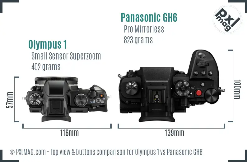Olympus 1 vs Panasonic GH6 top view buttons comparison