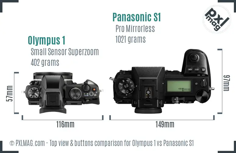 Olympus 1 vs Panasonic S1 top view buttons comparison