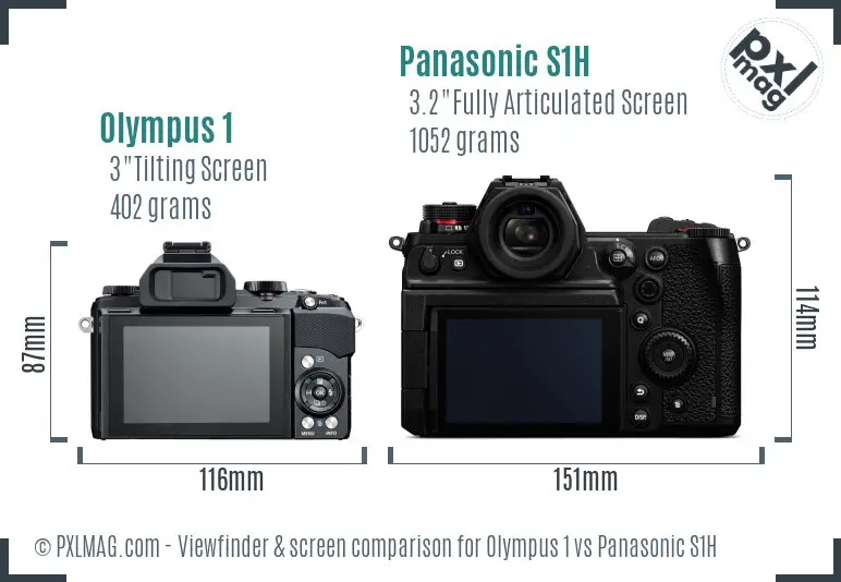 Olympus 1 vs Panasonic S1H Screen and Viewfinder comparison