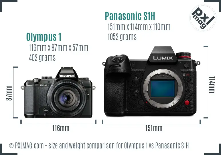 Olympus 1 vs Panasonic S1H size comparison