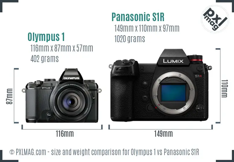 Olympus 1 vs Panasonic S1R size comparison