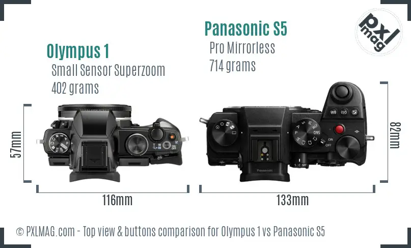 Olympus 1 vs Panasonic S5 top view buttons comparison