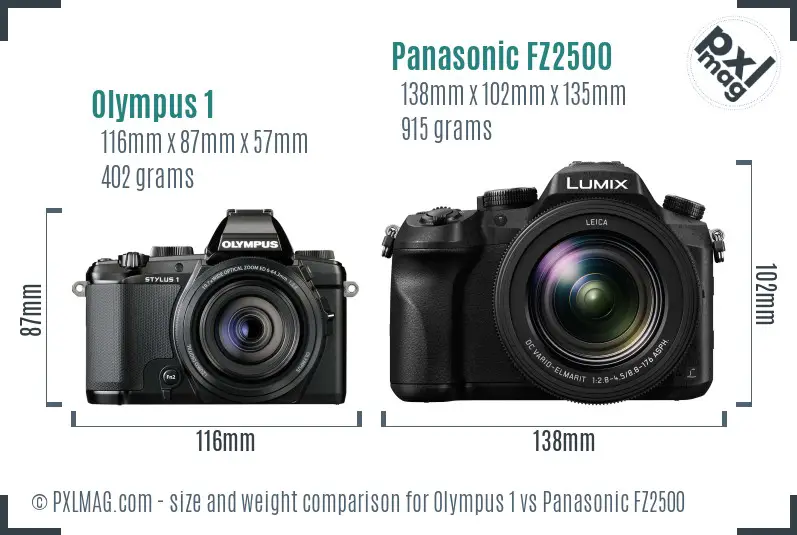 Olympus 1 vs Panasonic FZ2500 size comparison