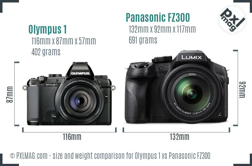 Olympus 1 vs Panasonic FZ300 size comparison