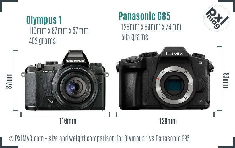 Olympus 1 vs Panasonic G85 size comparison
