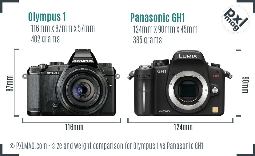 Olympus 1 vs Panasonic GH1 size comparison