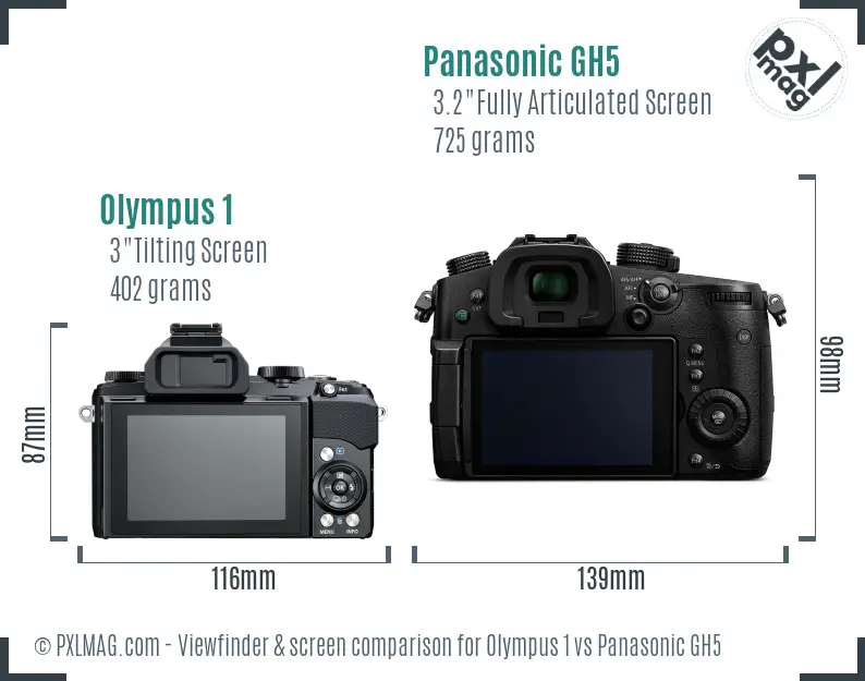 Olympus 1 vs Panasonic GH5 Screen and Viewfinder comparison