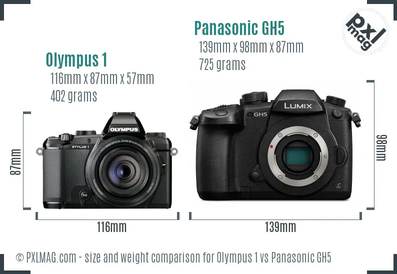 Olympus 1 vs Panasonic GH5 size comparison