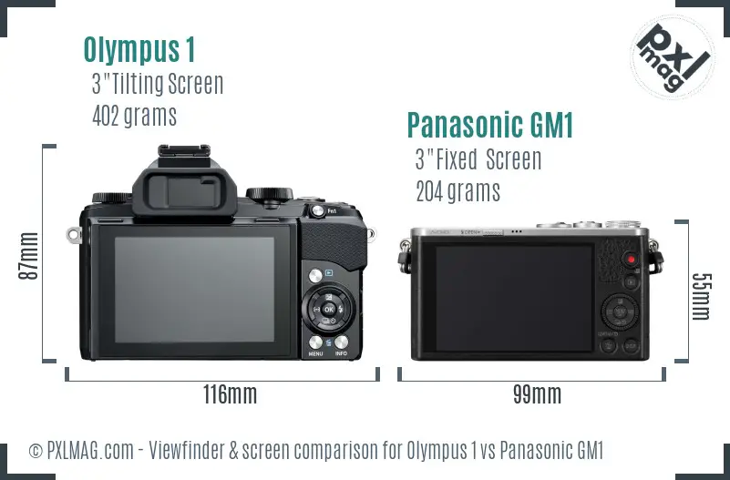 Olympus 1 vs Panasonic GM1 Screen and Viewfinder comparison