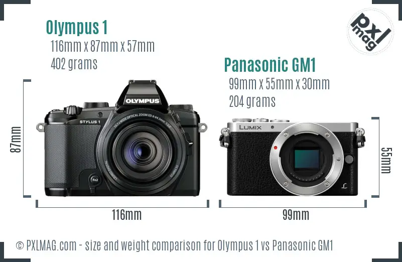 Olympus 1 vs Panasonic GM1 size comparison