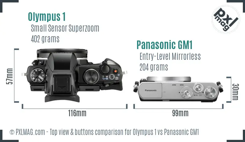 Olympus 1 vs Panasonic GM1 top view buttons comparison