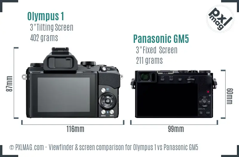 Olympus 1 vs Panasonic GM5 Screen and Viewfinder comparison