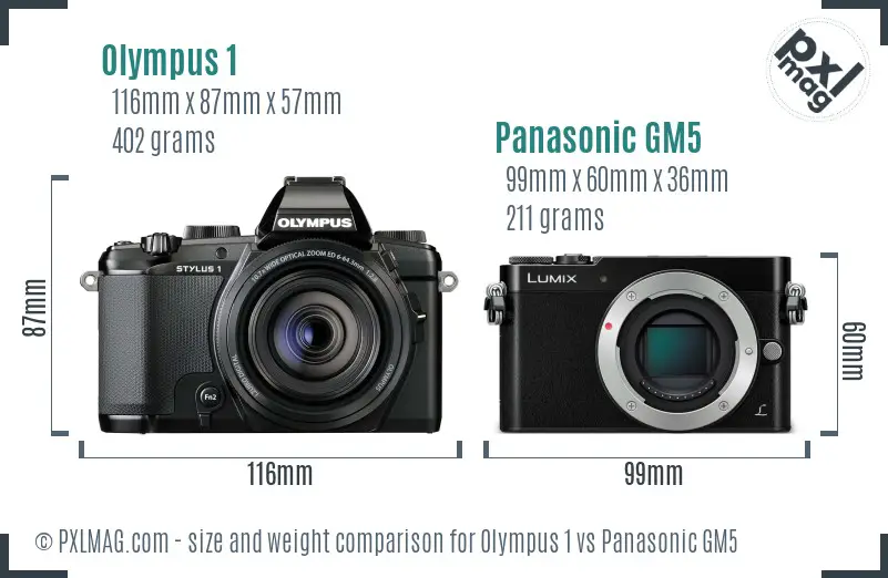 Olympus 1 vs Panasonic GM5 size comparison