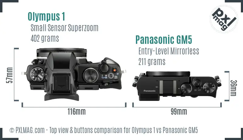 Olympus 1 vs Panasonic GM5 top view buttons comparison