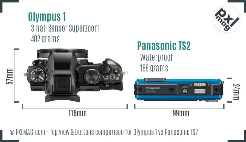 Olympus 1 vs Panasonic TS2 top view buttons comparison