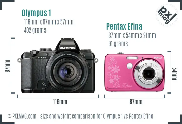 Olympus 1 vs Pentax Efina size comparison