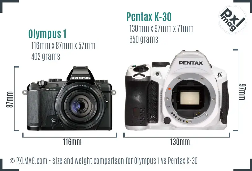 Olympus 1 vs Pentax K-30 size comparison