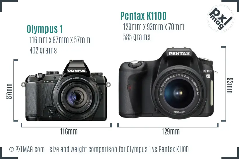 Olympus 1 vs Pentax K110D size comparison