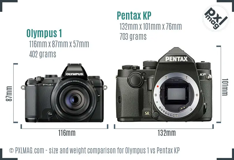 Olympus 1 vs Pentax KP size comparison