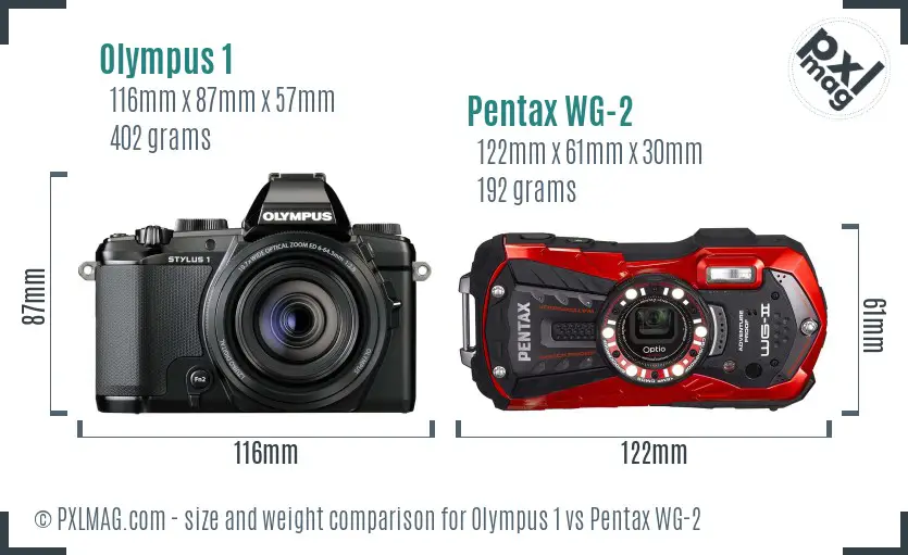 Olympus 1 vs Pentax WG-2 size comparison
