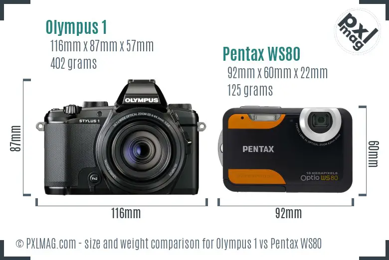 Olympus 1 vs Pentax WS80 size comparison