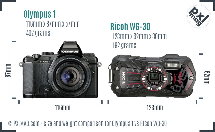 Olympus 1 vs Ricoh WG-30 size comparison