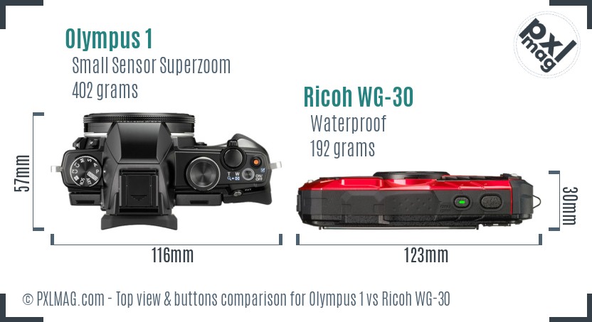 Olympus 1 vs Ricoh WG-30 top view buttons comparison