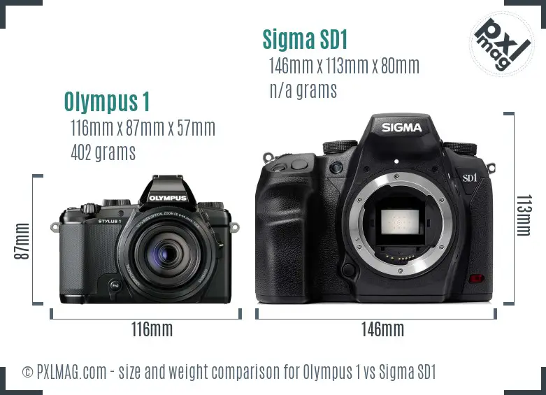 Olympus 1 vs Sigma SD1 size comparison