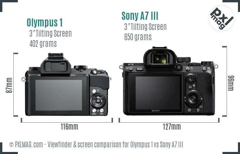 Olympus 1 vs Sony A7 III Screen and Viewfinder comparison