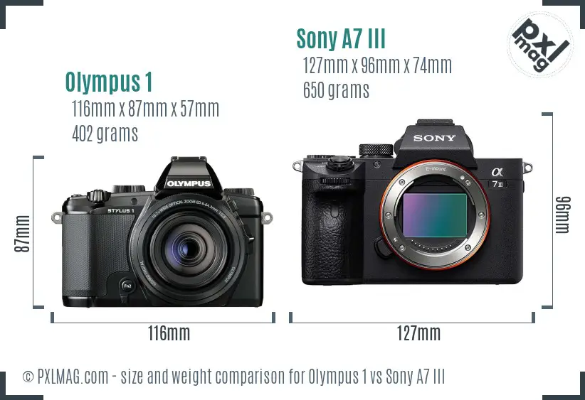 Olympus 1 vs Sony A7 III size comparison