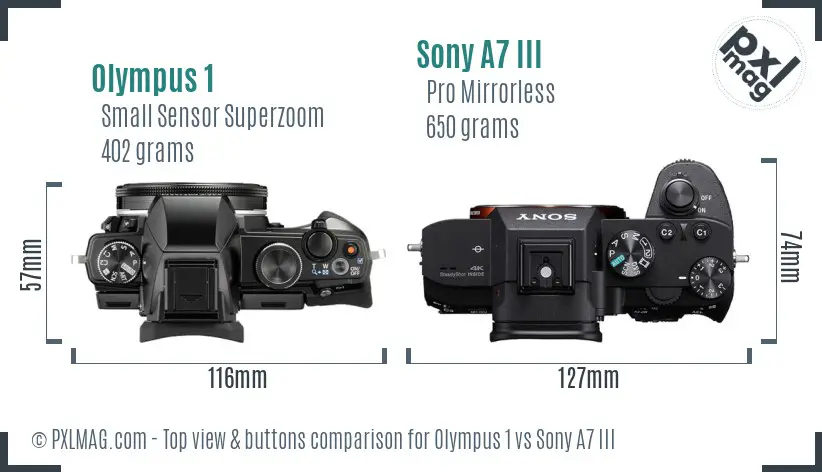 Olympus 1 vs Sony A7 III top view buttons comparison