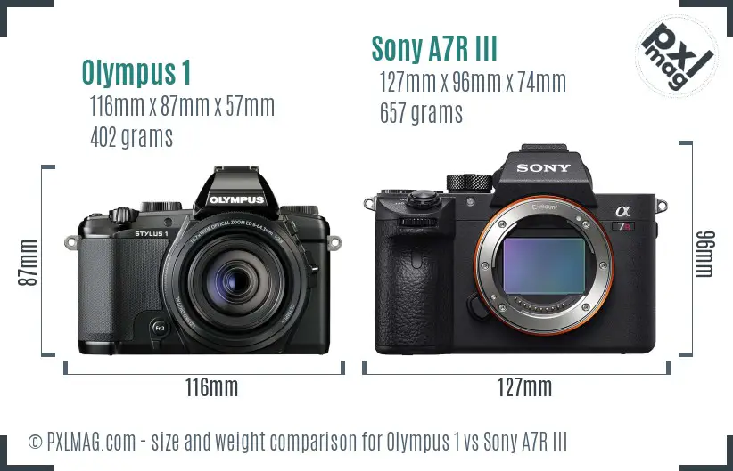 Olympus 1 vs Sony A7R III size comparison
