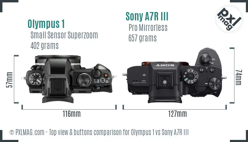 Olympus 1 vs Sony A7R III top view buttons comparison