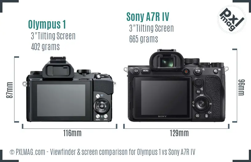 Olympus 1 vs Sony A7R IV Screen and Viewfinder comparison