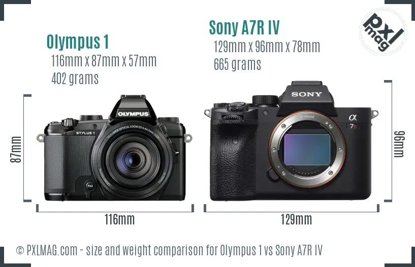 Olympus 1 vs Sony A7R IV size comparison