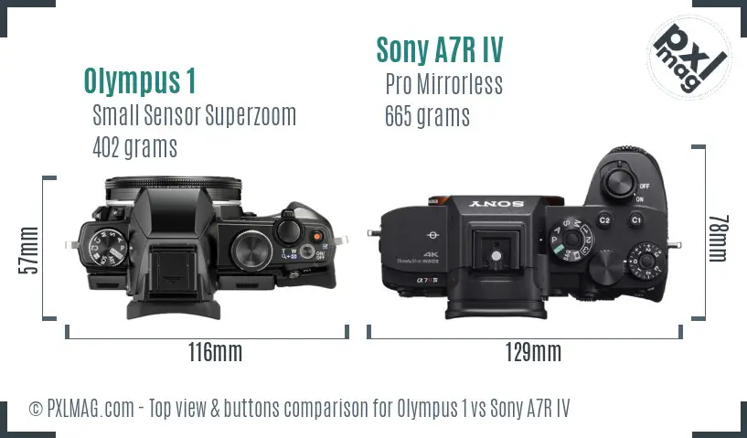 Olympus 1 vs Sony A7R IV top view buttons comparison