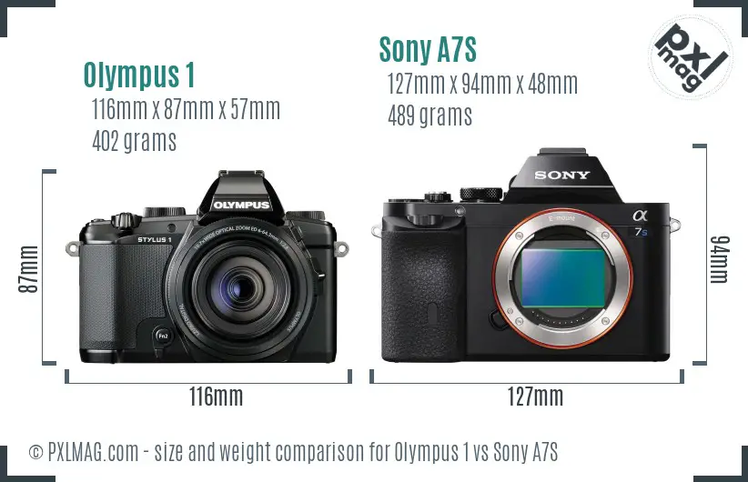 Olympus 1 vs Sony A7S size comparison