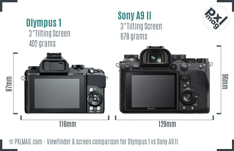 Olympus 1 vs Sony A9 II Screen and Viewfinder comparison