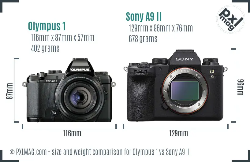 Olympus 1 vs Sony A9 II size comparison