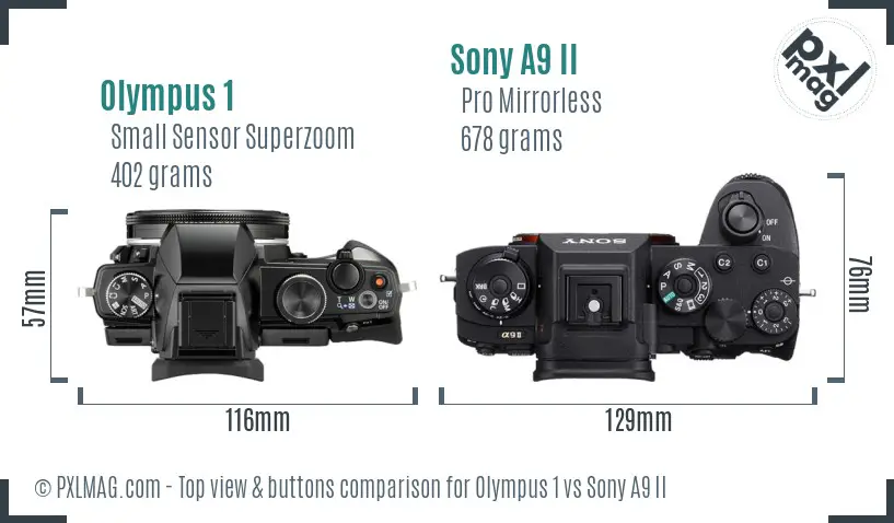 Olympus 1 vs Sony A9 II top view buttons comparison