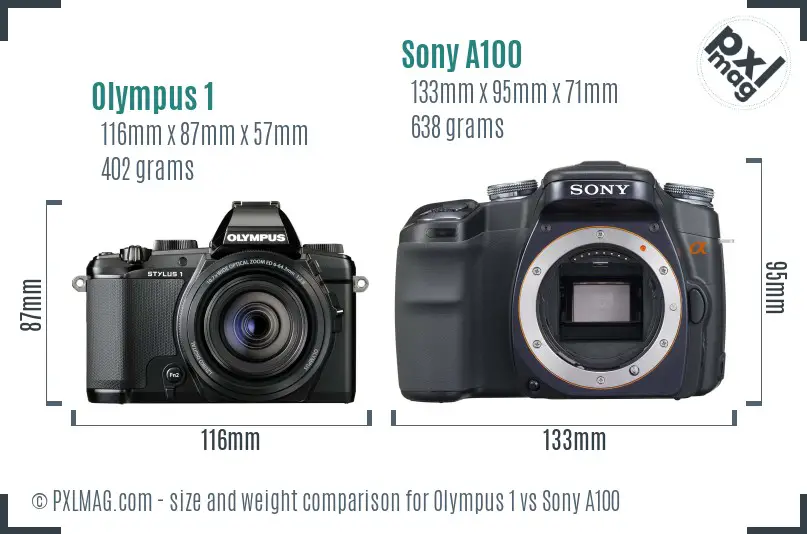 Olympus 1 vs Sony A100 size comparison