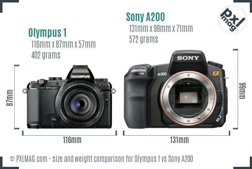 Olympus 1 vs Sony A200 size comparison