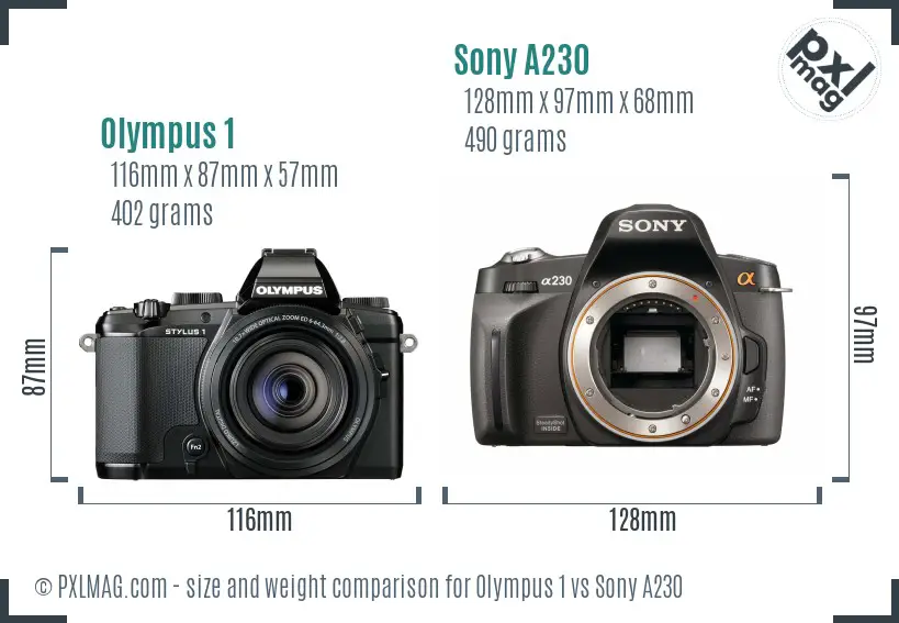 Olympus 1 vs Sony A230 size comparison
