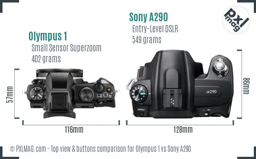 Olympus 1 vs Sony A290 top view buttons comparison