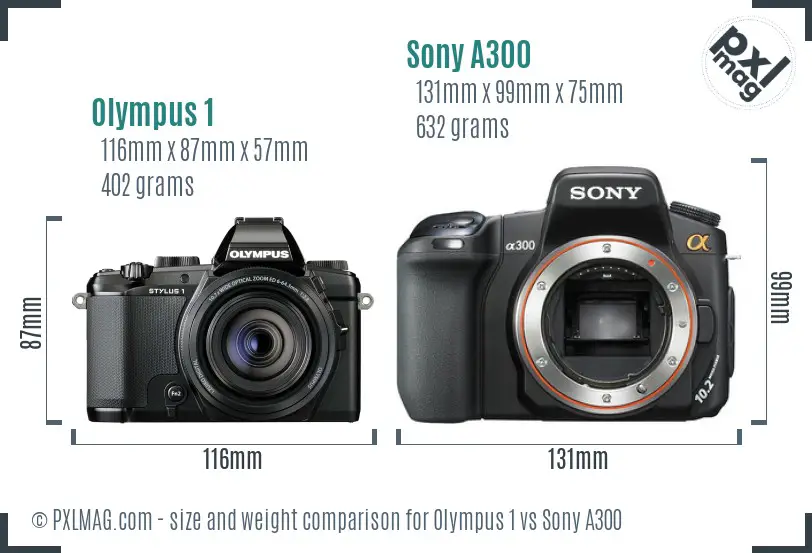 Olympus 1 vs Sony A300 size comparison