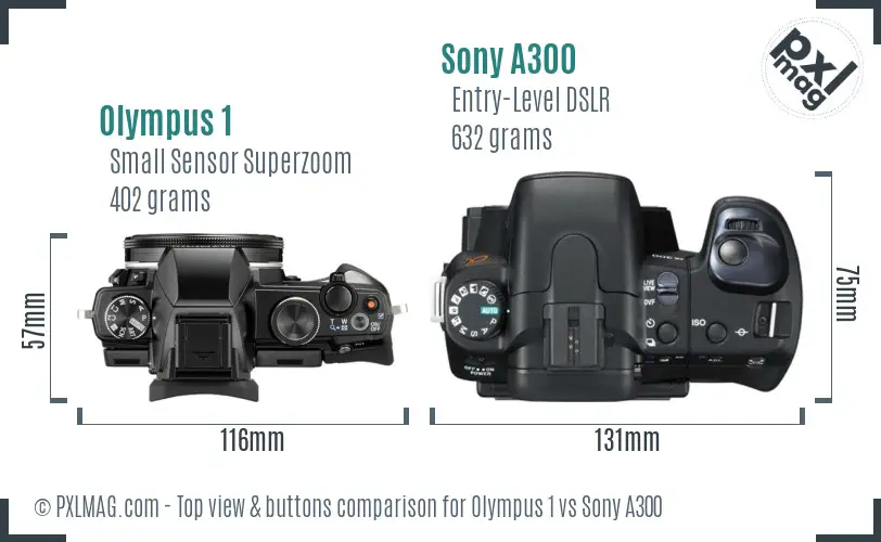 Olympus 1 vs Sony A300 top view buttons comparison