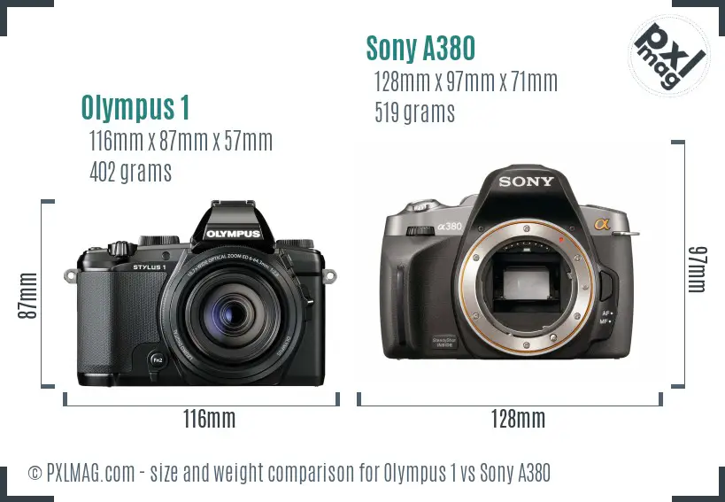 Olympus 1 vs Sony A380 size comparison