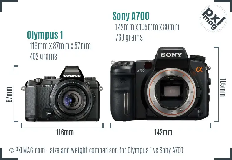 Olympus 1 vs Sony A700 size comparison
